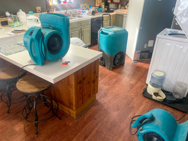 Best Ceiling water damage repair  in Hamburg, IA