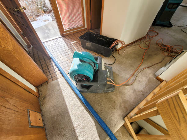 Best Flood restoration services  in Hamburg, IA
