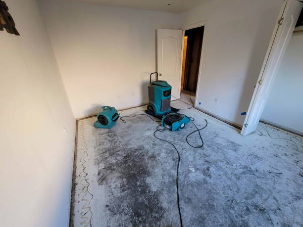 Best Local water damage restoration  in Hamburg, IA