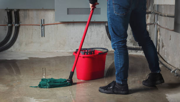 Best Fire Damage Restoration  in Hamburg, IA