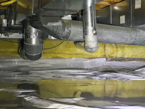 Best Sewage cleanup and water damage restoration  in Hamburg, IA