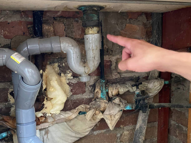 Best Sewage cleanup and water damage restoration  in Hamburg, IA